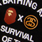 STUSSY x A BATHING APE&reg;