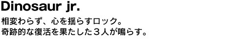 Dinosaur jr.　相変わらず、心を揺らすロック。奇跡的な復活を果たした３人が鳴らす。 